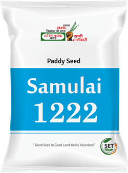 Samulai-1222