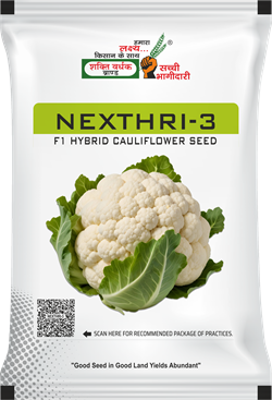 Nexthri-3