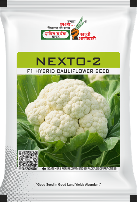 Nexto-2