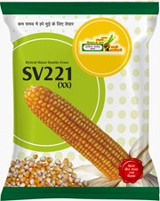 SV221 , Best Maize Seeds,  Thumbnail Image