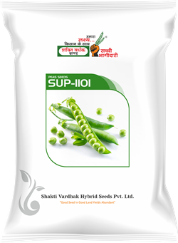 SUP-1101