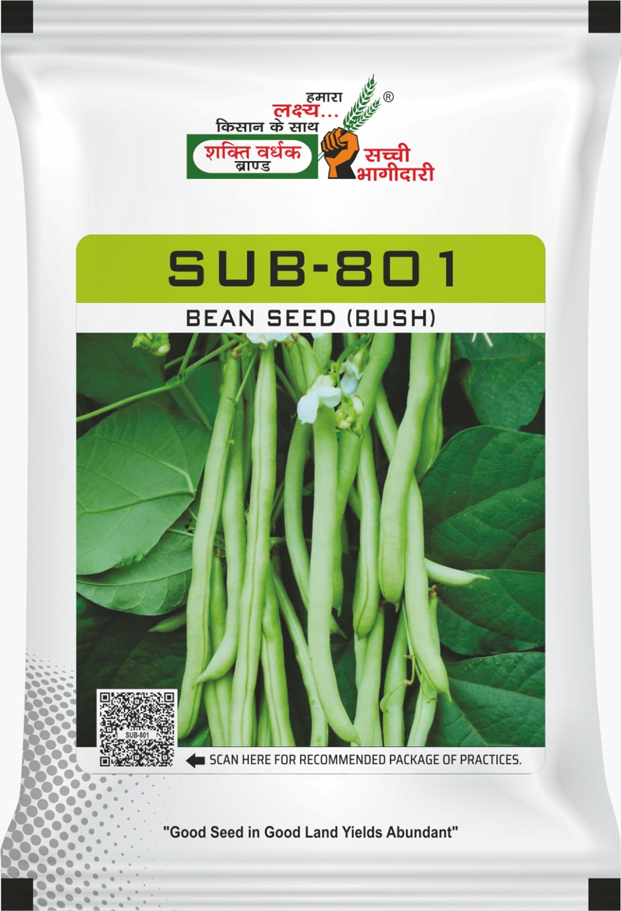 SUB-801, Best Bushy Beans Seeds, 