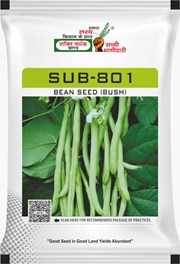 SUB-801, Best Bushy Beans Seeds,  Thumbnail Image