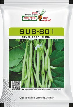 SUB-801