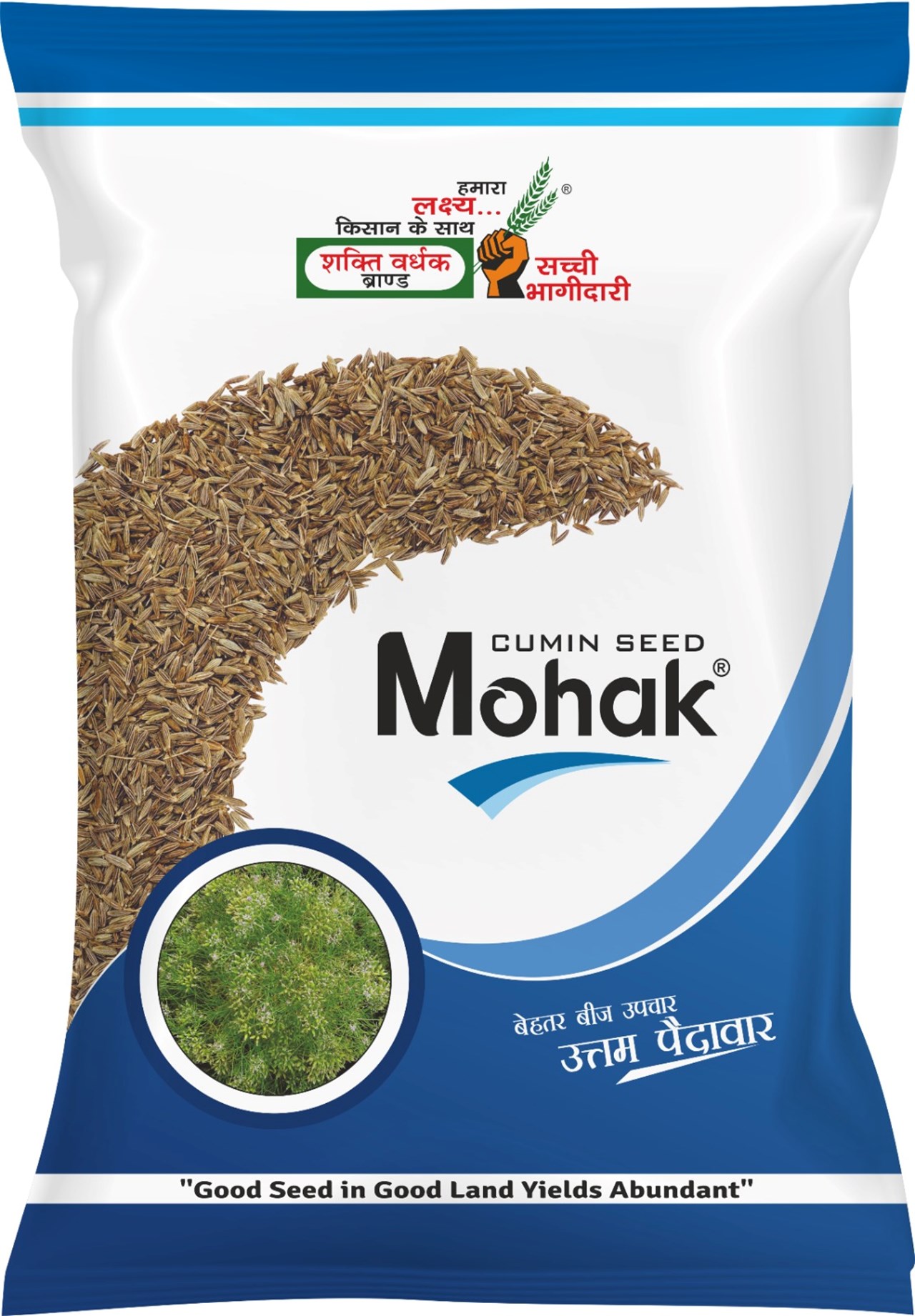 Mohak, Best Cumin Seeds, 