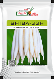 Shiba-33H, Best Radish Seeds,  Thumbnail Image