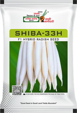 Shiba-33H