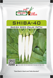 Shiba-40 (Palak Patta), Best Radish Seeds,  Thumbnail Image