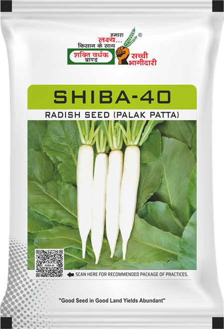 Shiba-40 (Palak Patta)