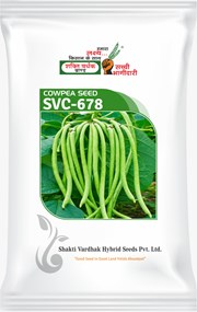 SVC-678, Best Cowpea Seeds,  Thumbnail Image