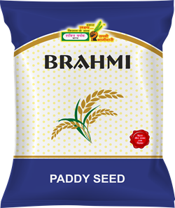 Brahmi