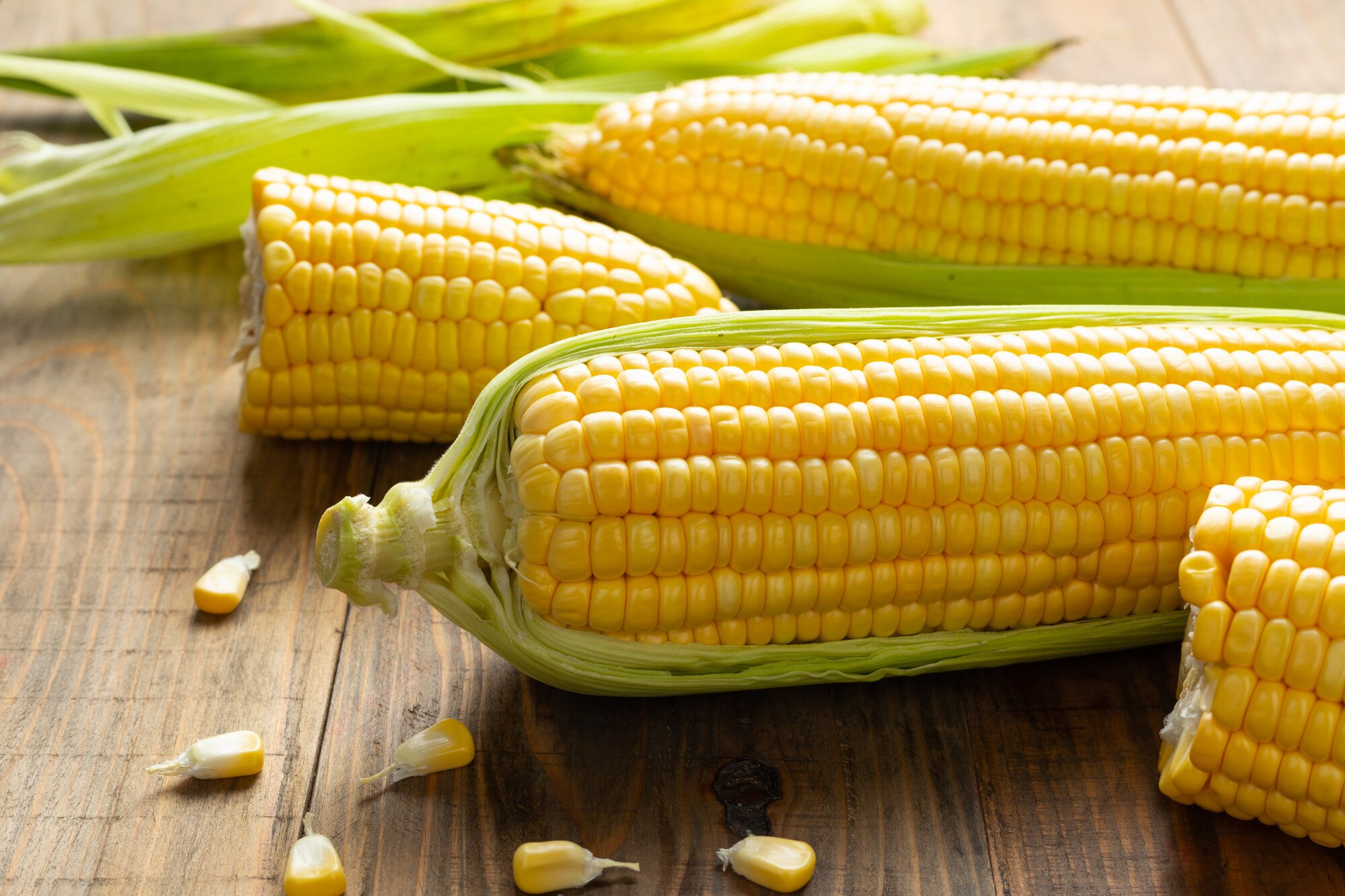 Disease and Pest Management in Maize, How to Protect the Farms?