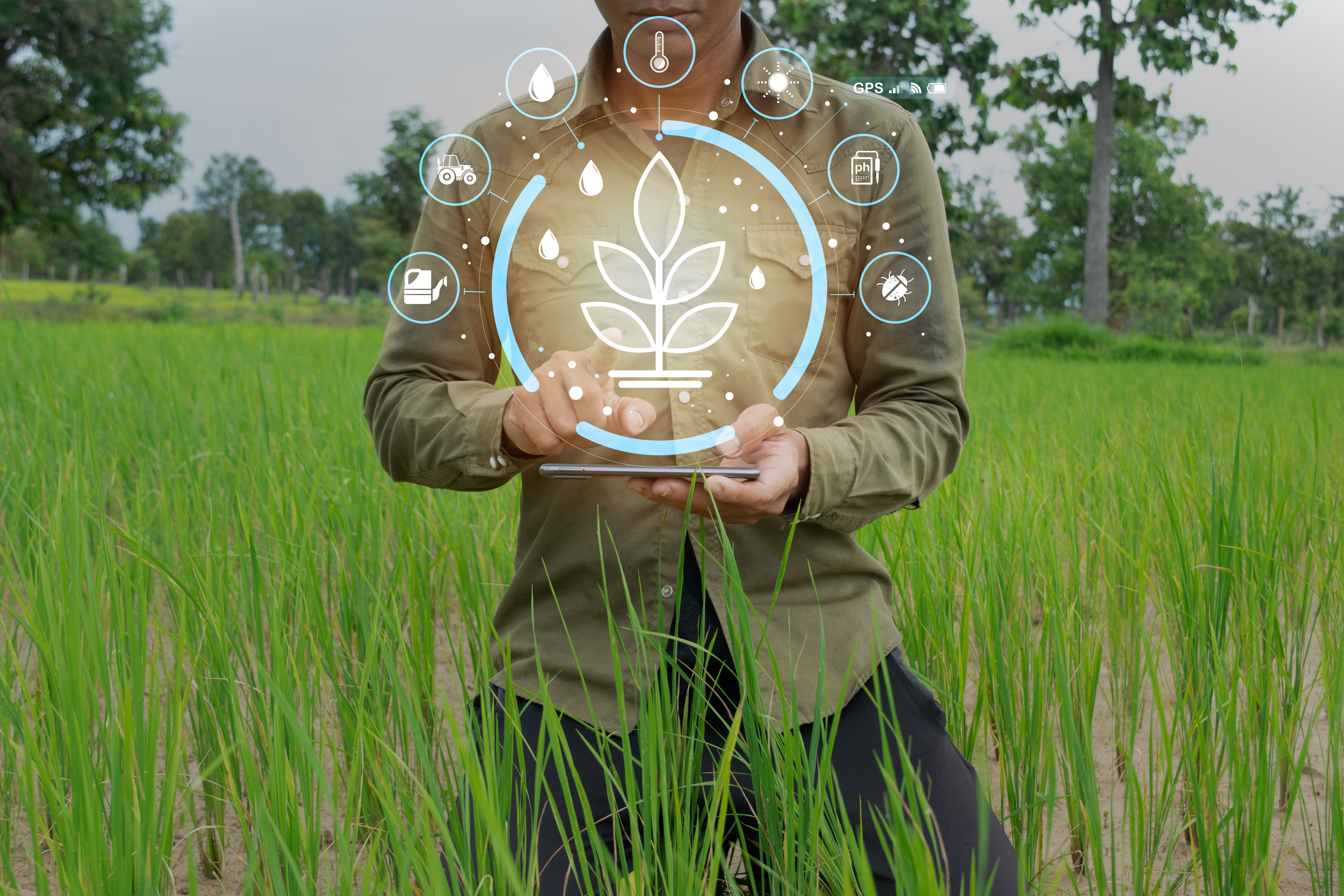 The Complete Truth of Crop Insurance Scheme: Benefits, Process & Essentials