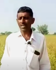 Mahender Singh , Sirsa , Haryana