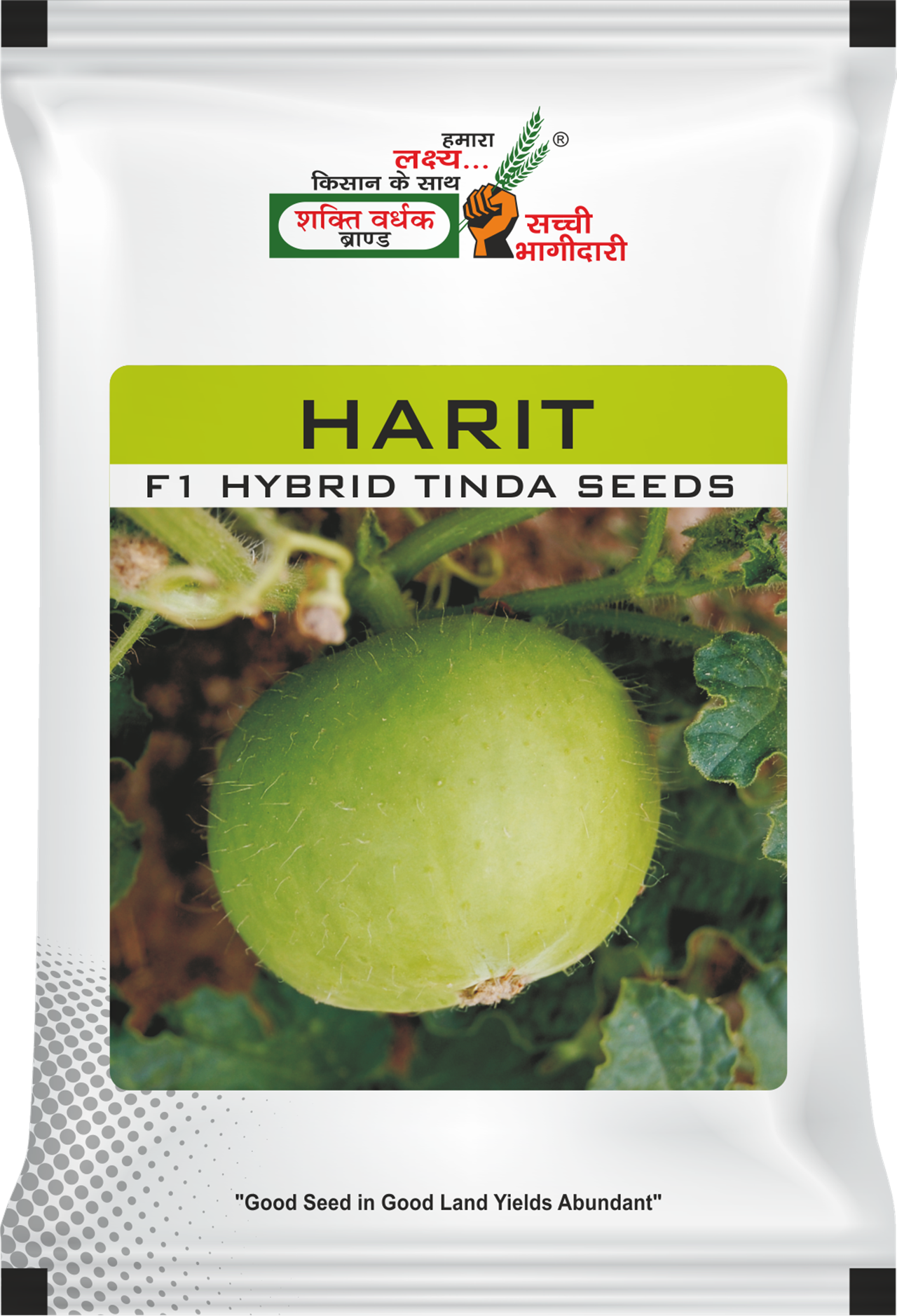 Harit, Best Tinda Seeds, 