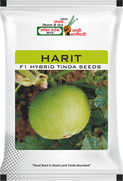 Harit, Best Tinda Seeds,  Thumbnail Image