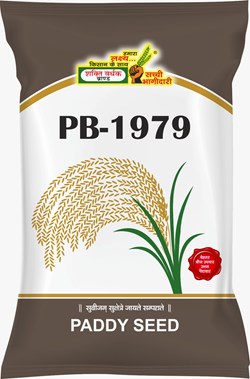 PB-1979