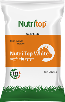 Nutri Top White