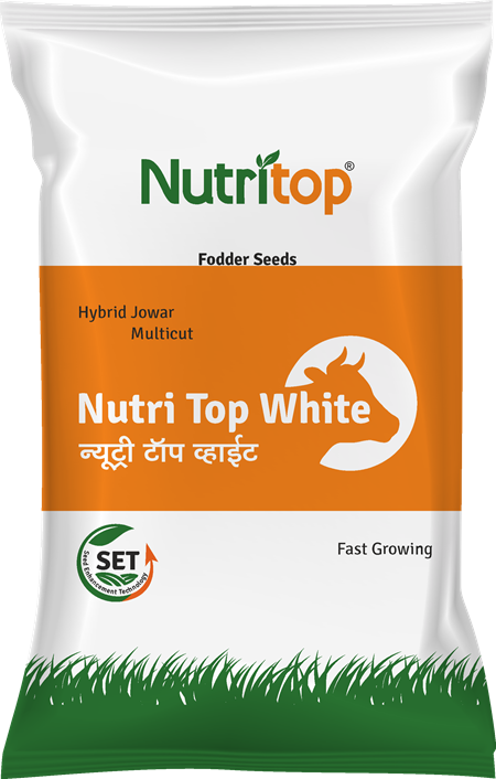 Nutri Top White