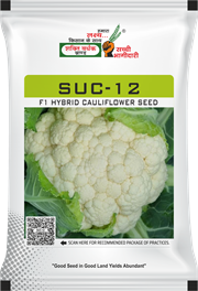 SUC-12, Best Cauliflower Seeds,  Thumbnail Image