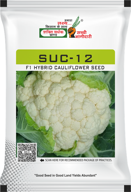 SUC-12