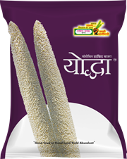 Yodha, Best Bajra Seeds,  Thumbnail Image