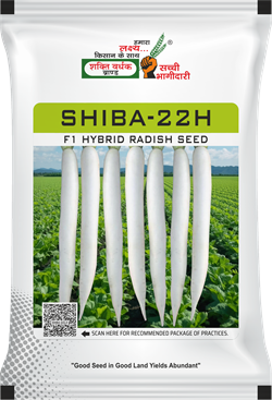 Shiba-22H