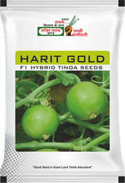 हरित गोल्ड, Best Tinda Seeds,  Thumbnail Image