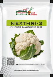 Nexthri-3, Best Cauliflower Seeds,  Thumbnail Image