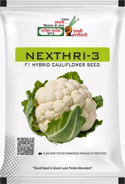 Nexthri-3
