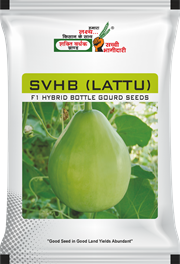 Lattu, Best Bottlegourd Seeds,  Thumbnail Image