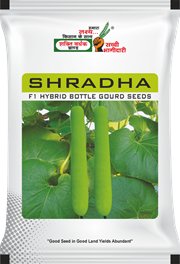 Shradha, Best Bottlegourd Seeds,  Thumbnail Image