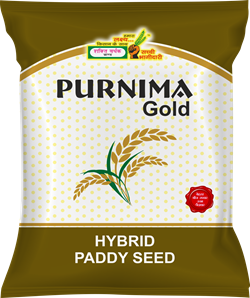 Purnima Gold