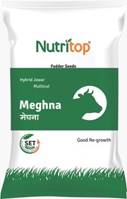 Meghna, Best Jowar Seeds,  Thumbnail Image