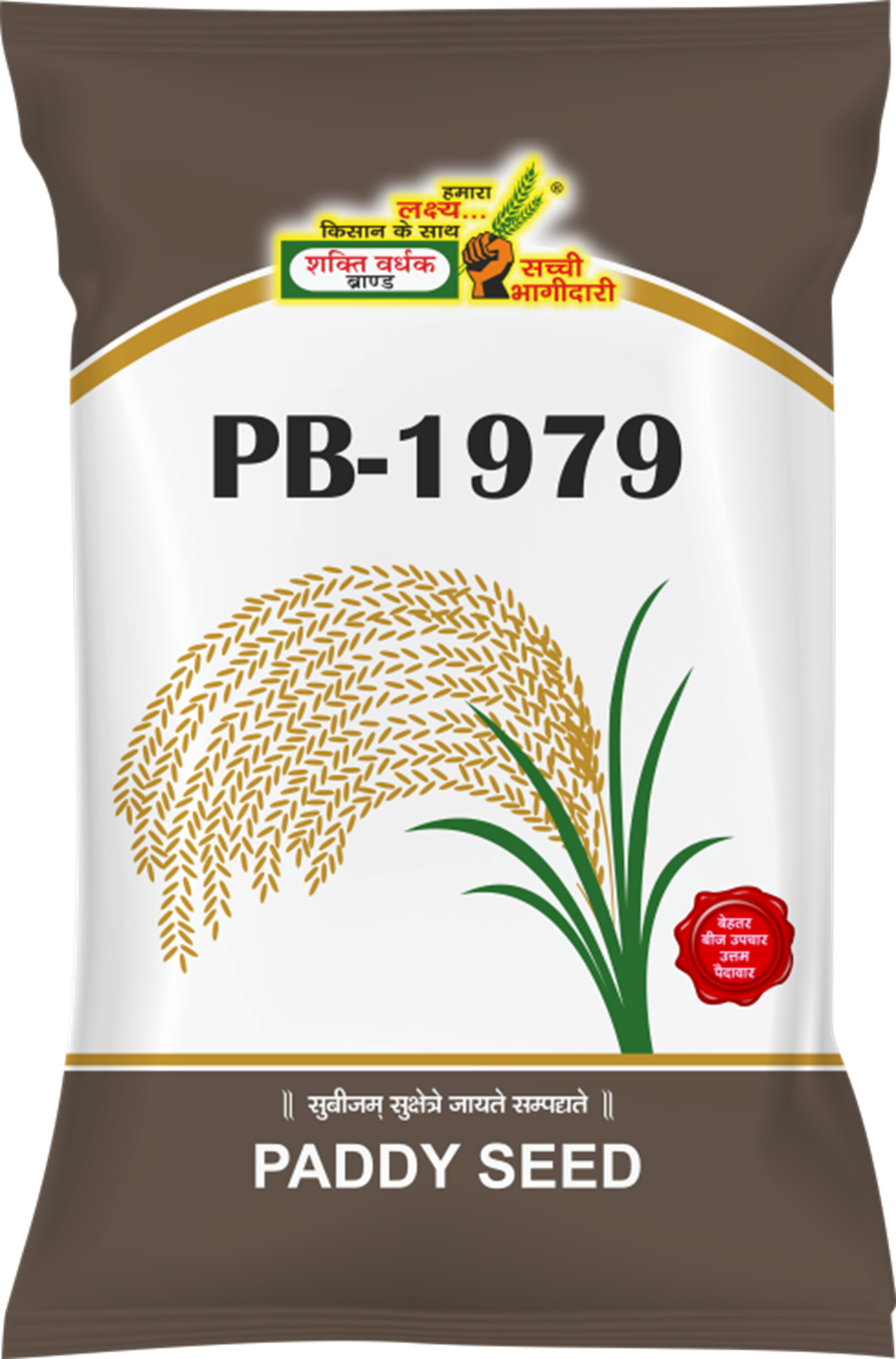 PB-1979, Best Paddy Seeds, 