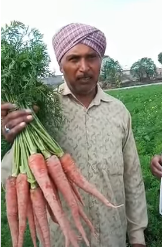 Prem Singh , Firozpur , Punjab