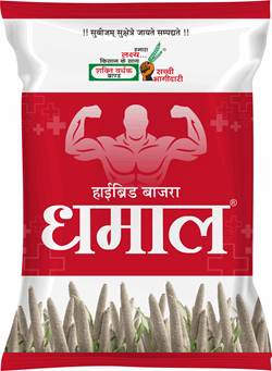 Dhamaal