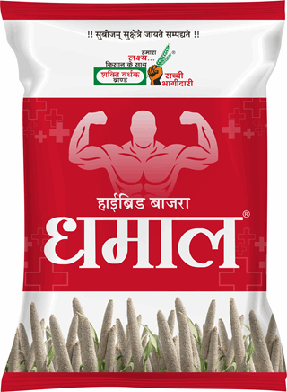 Dhamaal