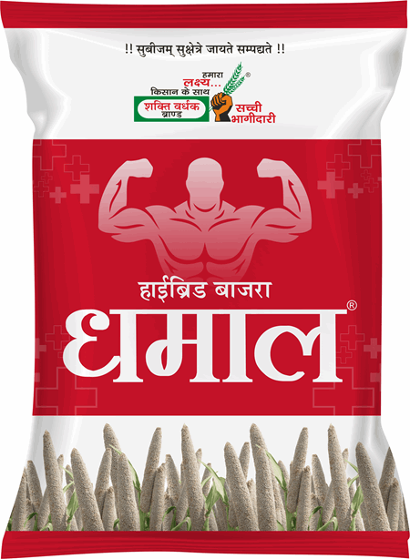 धमाल