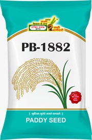 PB-1882, Best Paddy Seeds,  Thumbnail Image