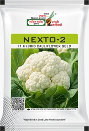 Nexto-2, Best Cauliflower Seeds,  Thumbnail Image