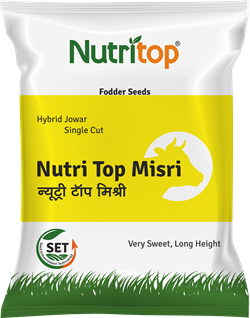 Nutri Top Misri