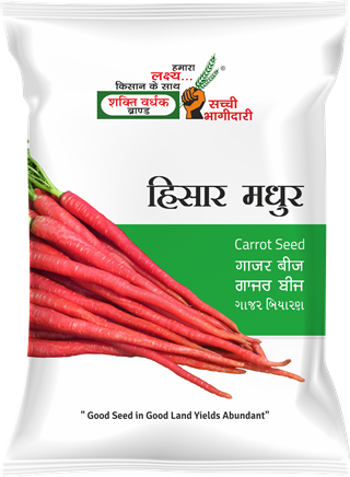 Hisar Madhur