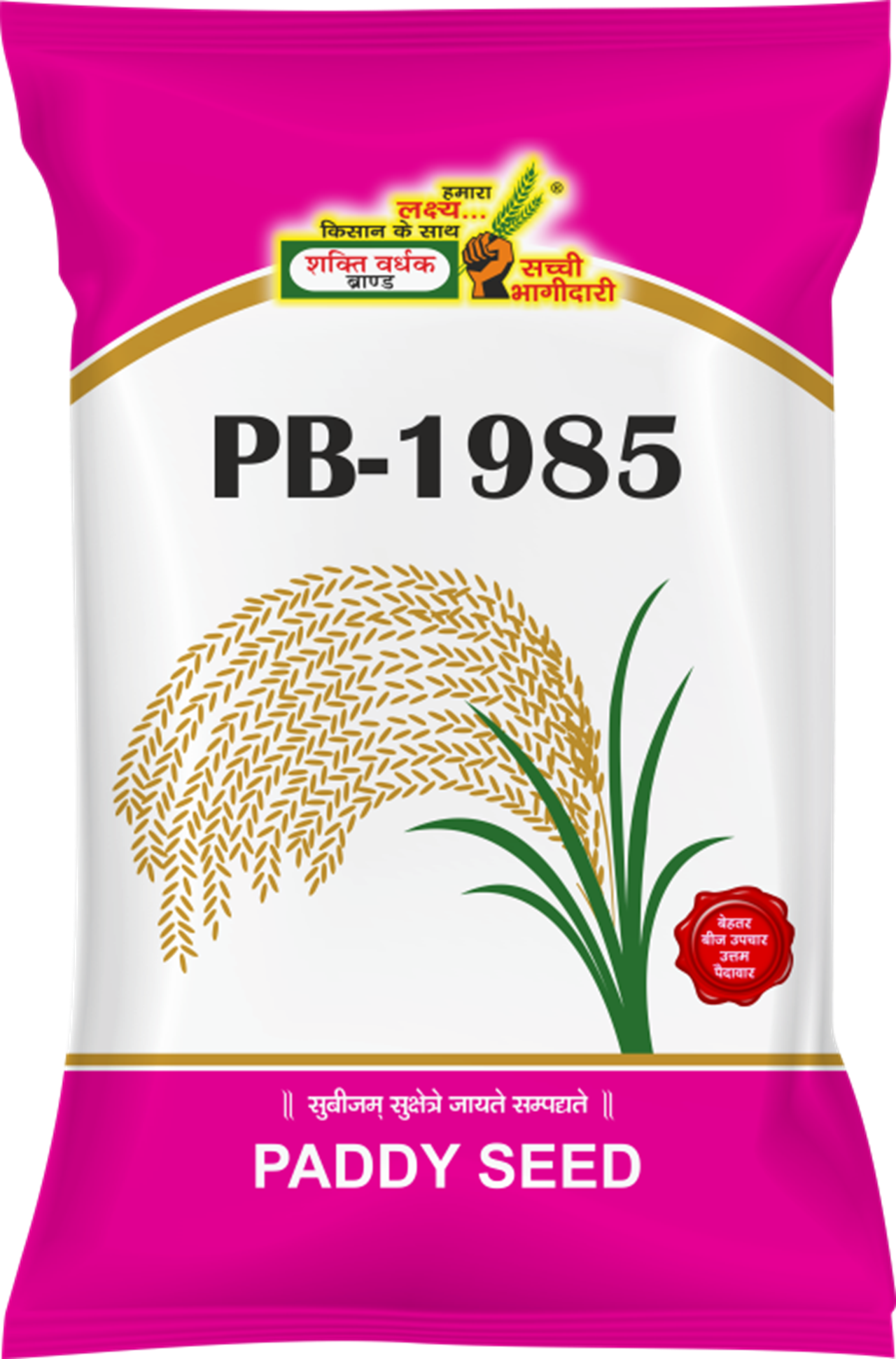 PB-1985, Best Paddy Seeds, 