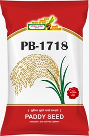 PB-1718, Best Paddy Seeds,  Thumbnail Image