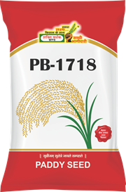 PB-1718, Best Paddy Seeds,  Thumbnail Image