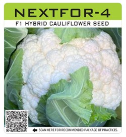Nextfor-4