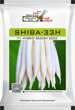 Shiba-33H