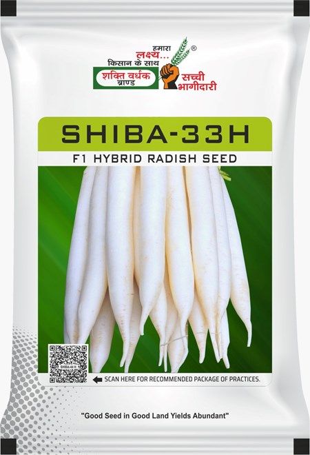 Shiba-33H