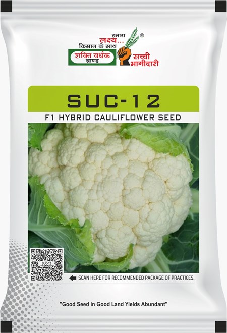 SUC-12